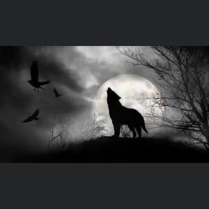 Meet your Posher, Yalda banoo